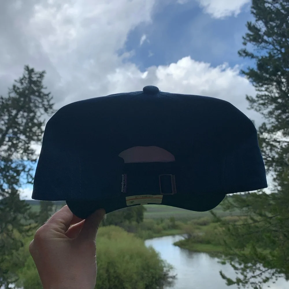 NWT Patagonia Blue Hat - Blue Skyline & “Save Our Planet Earth”